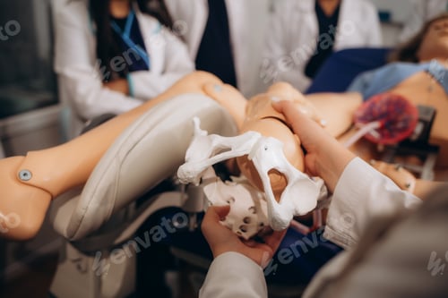 Preview: A practical lesson on a pregnant dummy for students of obstetrics and gynecology