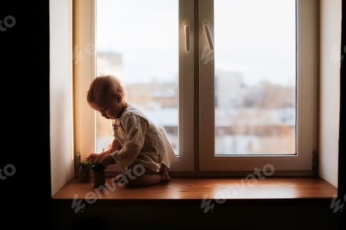 Preview: A cute toddler child on the windowsill by the window playing with home plant