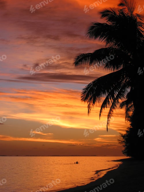 Preview: sunset on a tropical island with palm tree silhouette (Cook Islands)