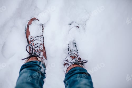 Preview: winter