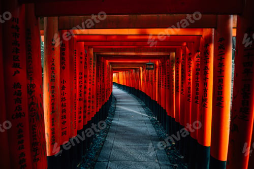 Preview: The fushimi-inari path in Kyoto