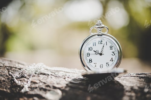 Preview: Close up of pocket watch on tree branch outside.