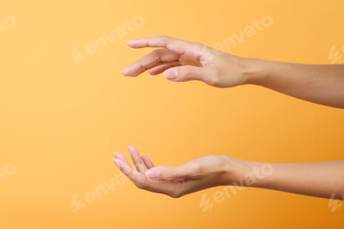 Preview: Empty Open Female Hands for Cosmetic Product