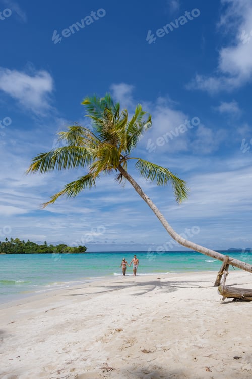 Preview: Tropical beach with palm trees at the Island of Koh Kood Thailand