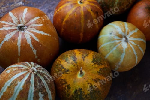 Preview: Muskmelon no rusty metal floor