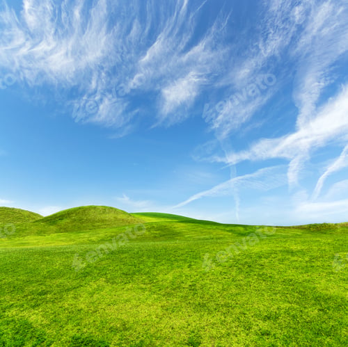 Preview: Landscape with green grass field under a blue sky