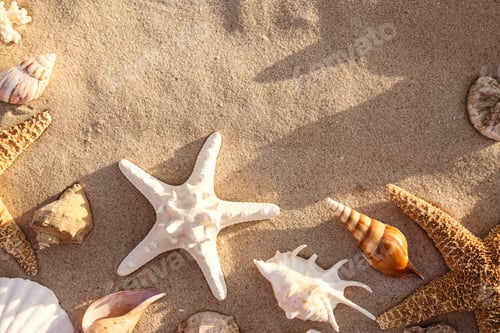 Preview: Flat lay composition with starfishes and seashells on sandy beach. Space for text