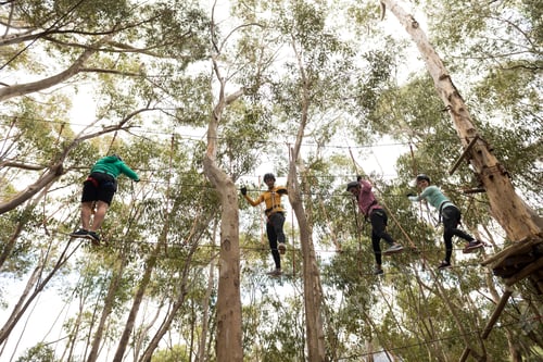 Preview: Friends enjoying zip line adventure in park