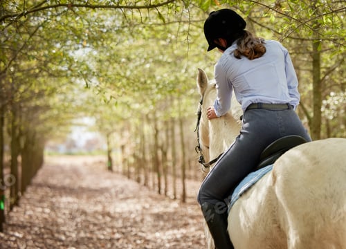 Preview: Shot of an unrecognisable woman horseback riding through the forest during the day