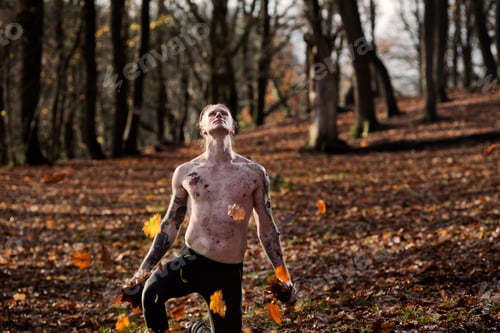 Preview: Bare chested tattooed man kneeling on autumn leaf covered forest floor looking up