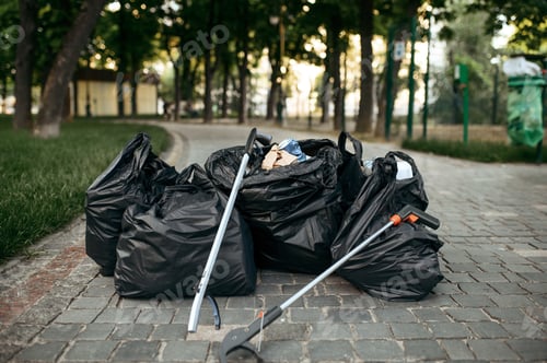 Preview: Full trash bags in park, volunteering motivator