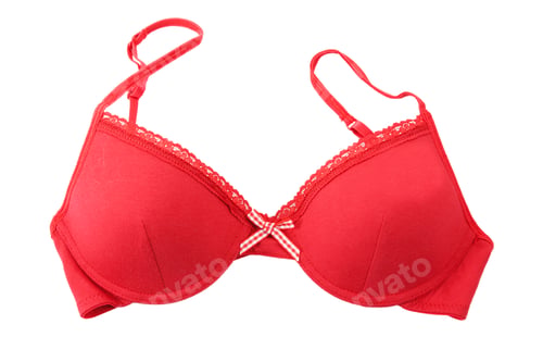 Red Bra with White Trim and Bow
