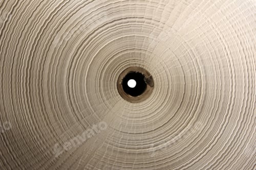 Visualização: Rolo de papel de perto