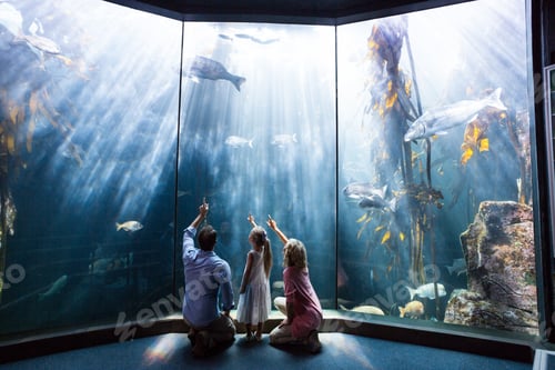 Preview: Family Pointing A Fish In The Tank