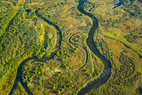 Preview: Aerial View Green Forest Woods And River Landscape In Sunny Summer Day. Top View Of Beautiful