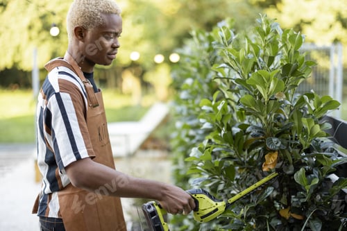Preview: Man cuts plant with gardening scissors in garden