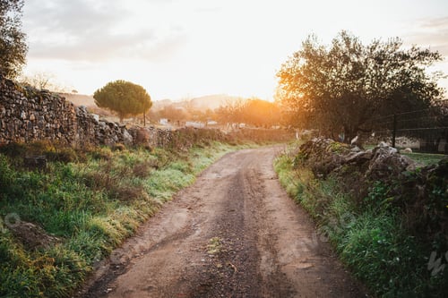 Preview: Rural path in the countryside in the dawn