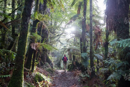 Preview: Tramping