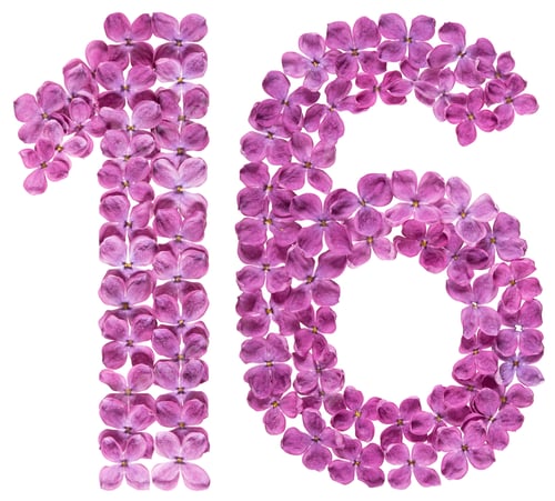Preview: Arabic numeral 16, sixteen, from flowers of lilac, isolated on white background