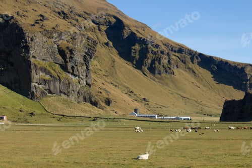 Preview: Farm in the mountains of Iceland