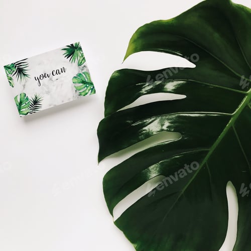 Preview: green