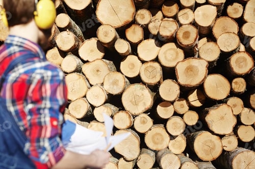 Preview: Logs and forester