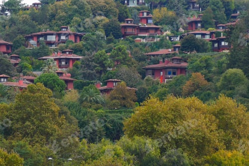Preview: Scenic hillside view of charming red-roofed houses amidst lush greenery