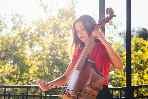 Preview: Woman musician playing cello