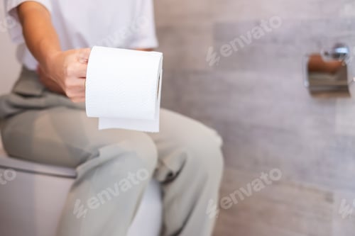 Preview: holding toilet paper roll during sit on toilet bowl