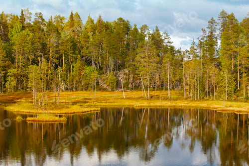 Preview: Finland forest and lake at Pieni Karhunkierros trail. Autumn season