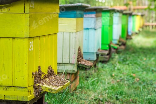 Preview: Natural beehives with bees in sunny day