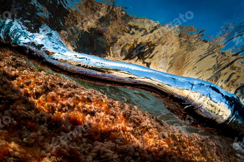 Preview: Underwater bliss as sunlight dances over the coral reef
