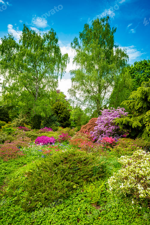 Preview: Beautiful Garden with blooming trees during spring time