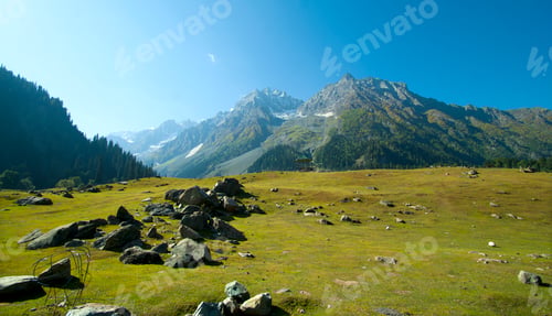 Preview: Beautiful mountain landscape and grass field, Jammu and Kashmir state, India