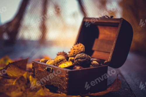 Preview: Colorful leaves and a treasure box full with nuts and chestnuts. Harvest concept