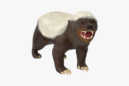 Preview: Ferocious Honey Badger