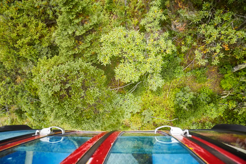 Vista previa: Looking down on a forest from cable car