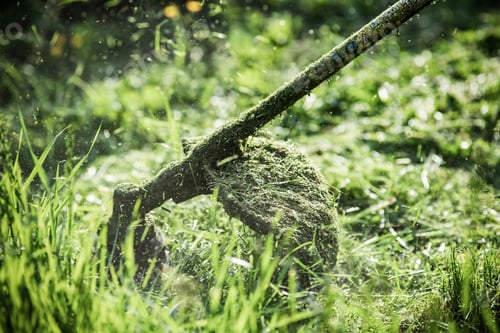 Preview: mowing the grass with a lawn mower, garden work concept background