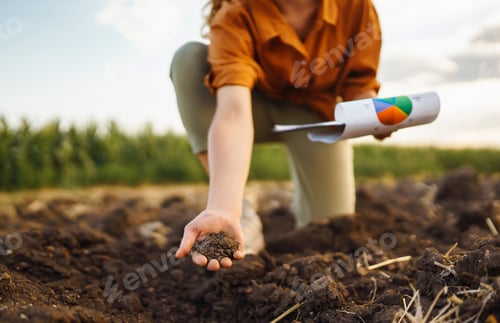 Preview: Female Hand of expert farmer collect soil and checking soil health before growth a seed of vegetable