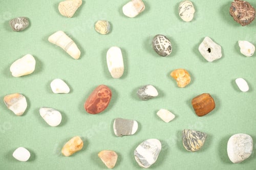 Preview: Shells And Stones Lie On A Bright Background