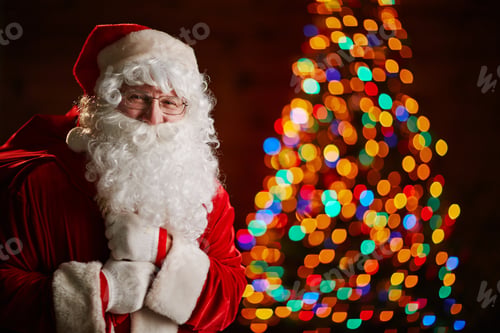 Preview: Santa with sack