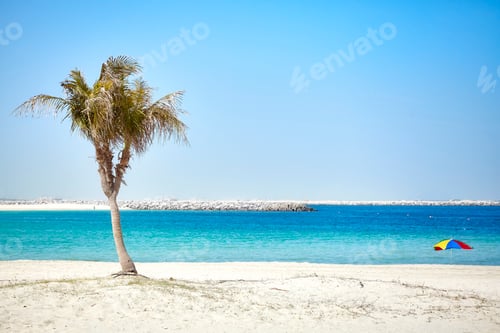 Preview: Beautiful beach with palm tree, summer concept.