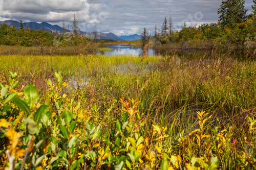 Preview: Autumn in Alaska
