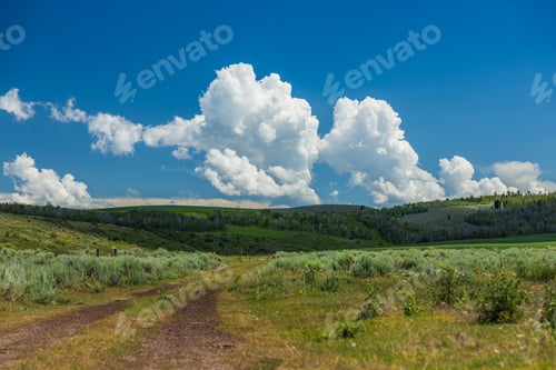 Preview: summer road with sage meadow and clouds forming in blue sky