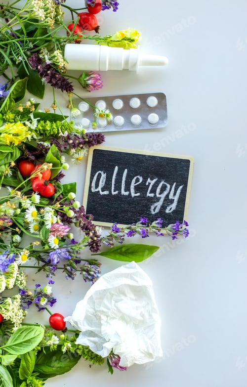 Preview: Various herbs and flowers and allergies. Selective focus.