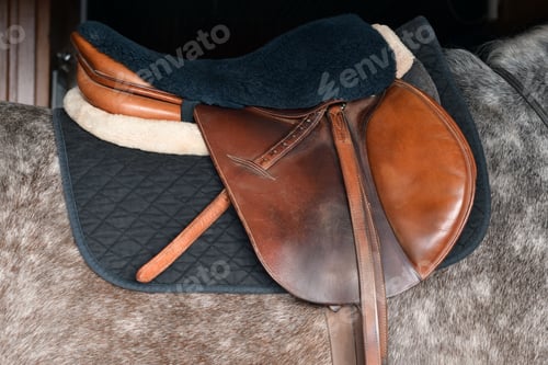 Preview: Leather horse saddle on horse back