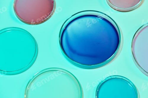 Preview: Petri dishes with colorful agar media with bacterial colonies for biochemical analysis in