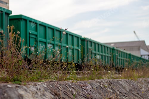 Preview: Low angle shot of a green train and grass near the railroad
