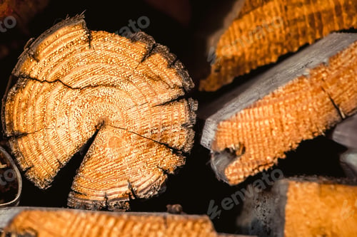 Preview: Wood logs close up. Environmentally friendly fuel. Wooden natural background.