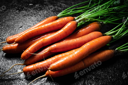 Preview: Fresh bunch of carrots .